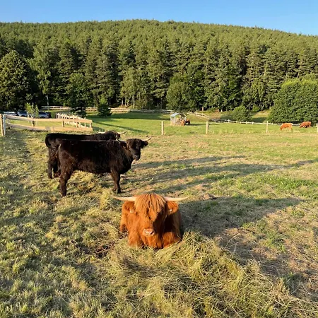 Goellitzhof 아파트