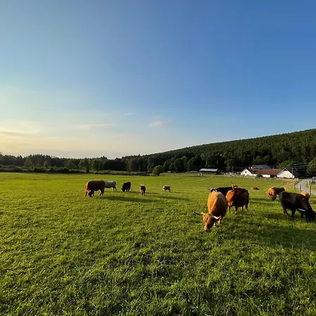 Goellitzhof Apartment Heinreichs bei Weitra