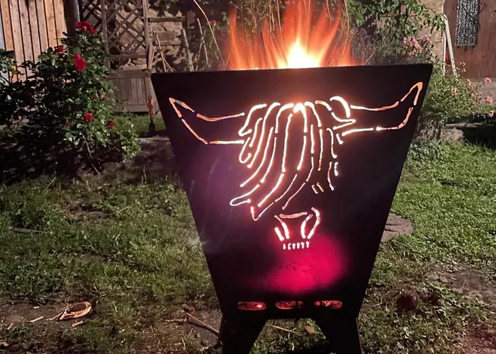 Goellitzhof 公寓 *