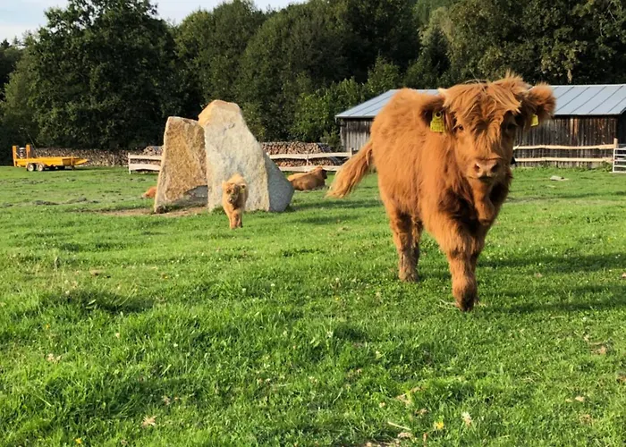 Apartment Goellitzhof