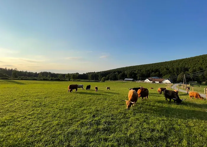 Goellitzhof Apartment Heinreichs bei Weitra